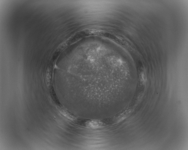 X0000074040372200609181959