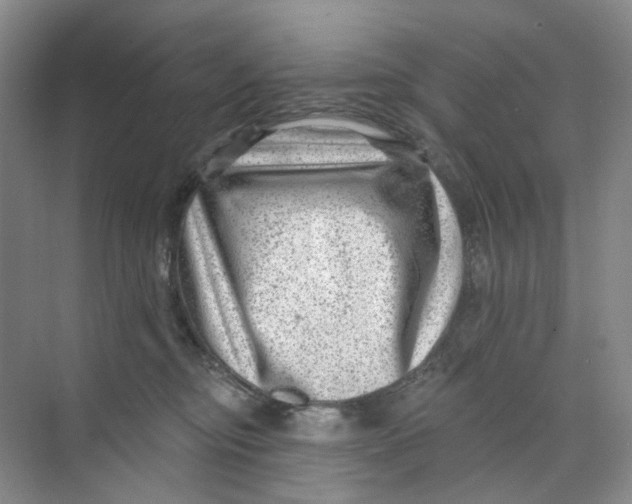 X0000074040374200609181959