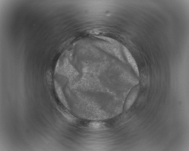 X0000074040375200609181959