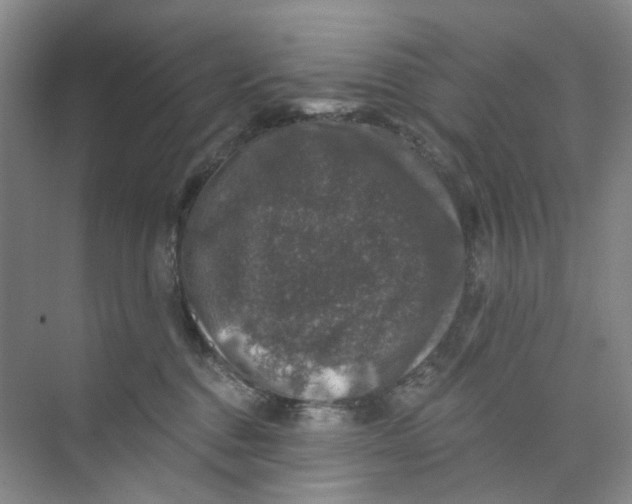 X0000074040376200609181959