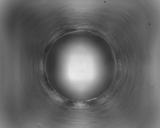 X0000074040380200609181959