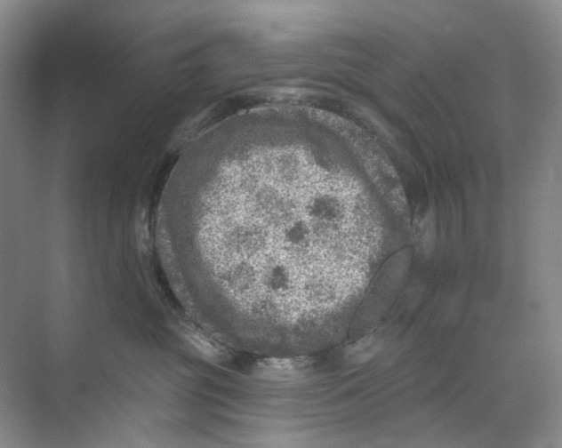 X0000074040381200609181959