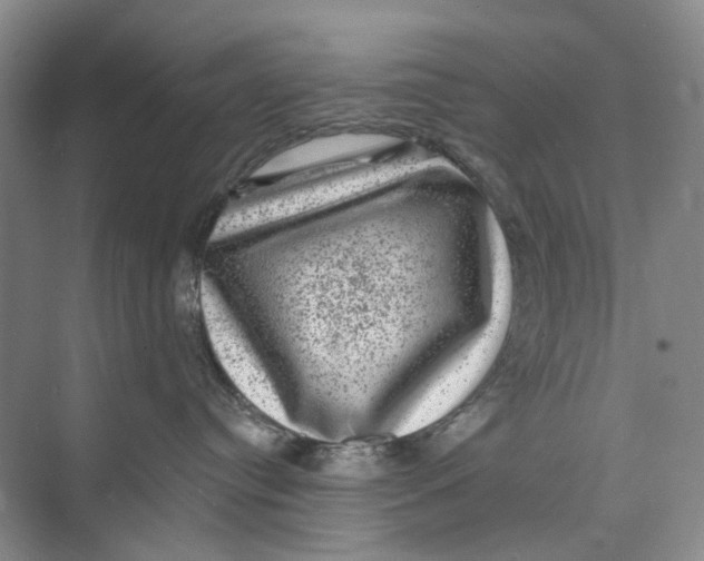 X0000074040384200609181959