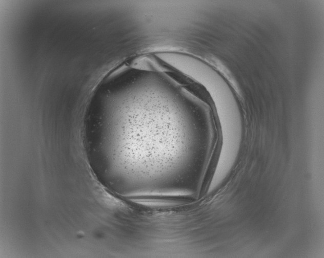 X0000074040385200609181958