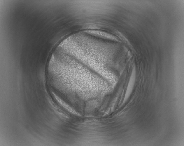 X0000074040386200609181958