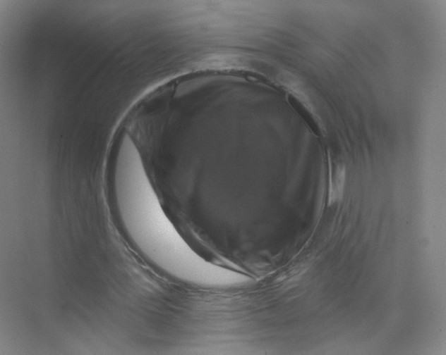 X0000074040387200609181958