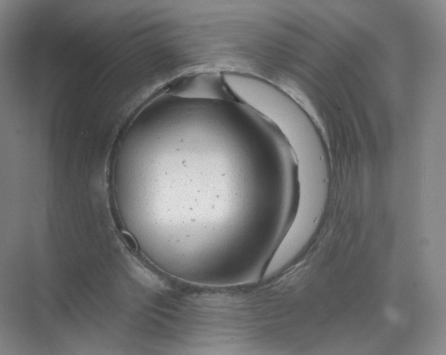 X0000074040389200609181958