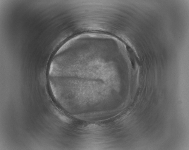 X0000074040390200609181958