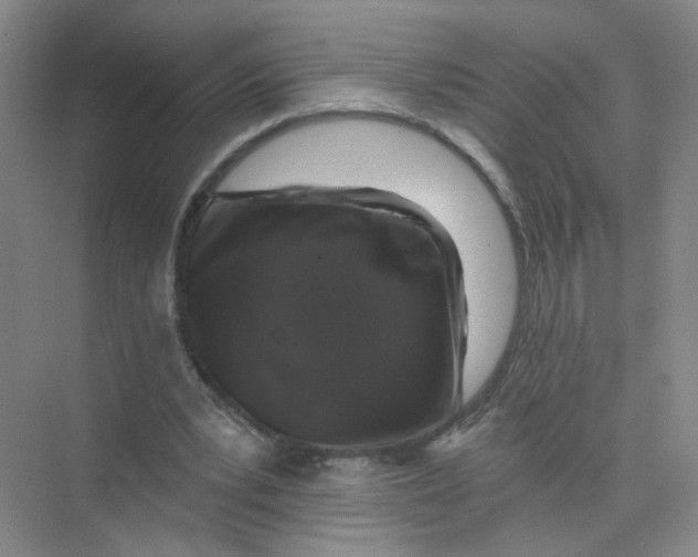 X0000074040391200609181958