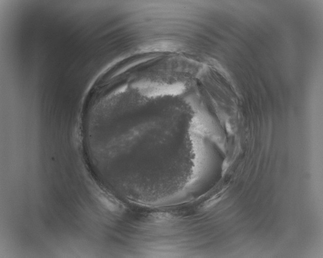 X0000074040392200609181958