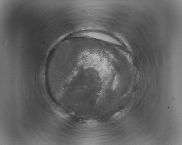 X0000074040395200609181958