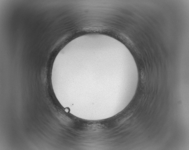 X0000074040396200609181958