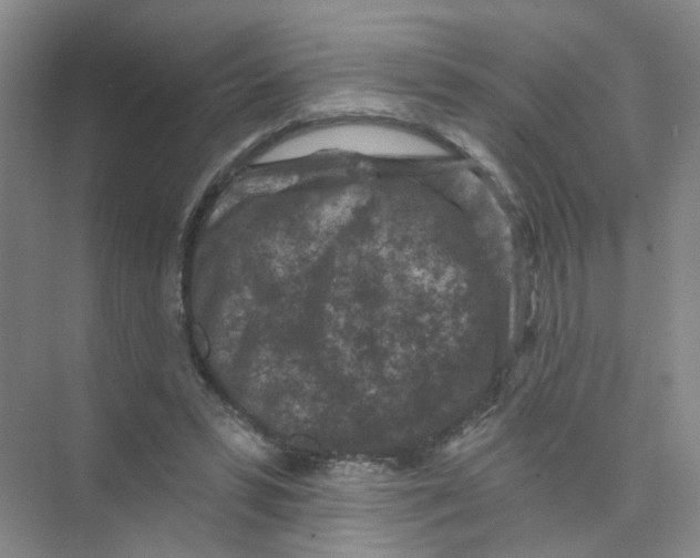 X0000074040399200609181958