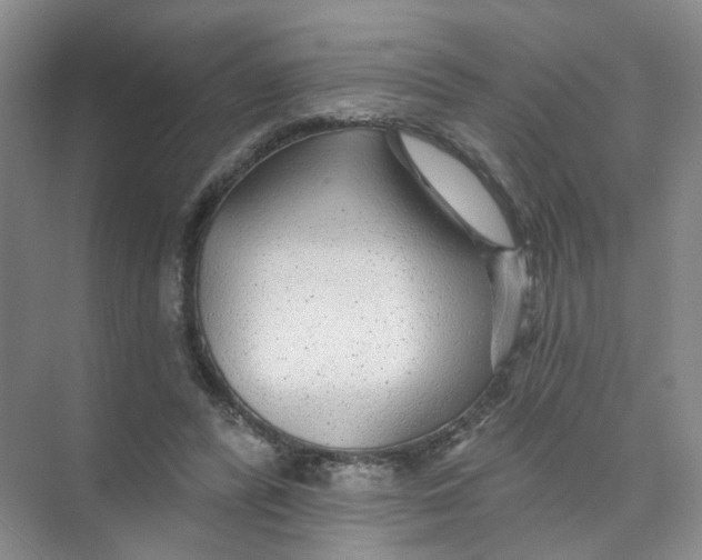 X0000074040400200609181958