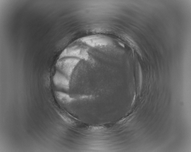 X0000074040401200609181958