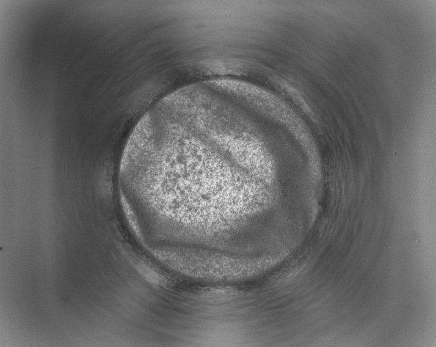 X0000074040402200609181958