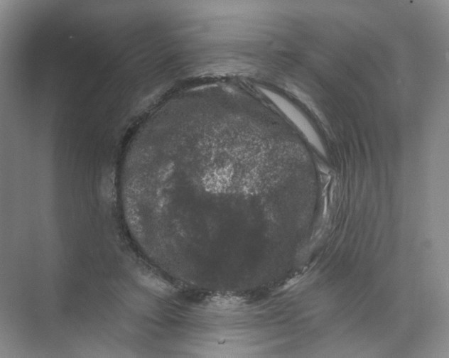 X0000074040403200609181958