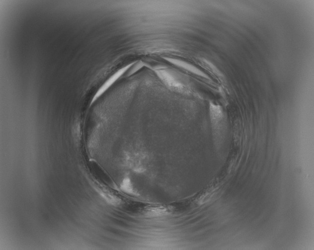 X0000074040405200609181958