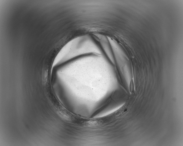 X0000074040406200609181958