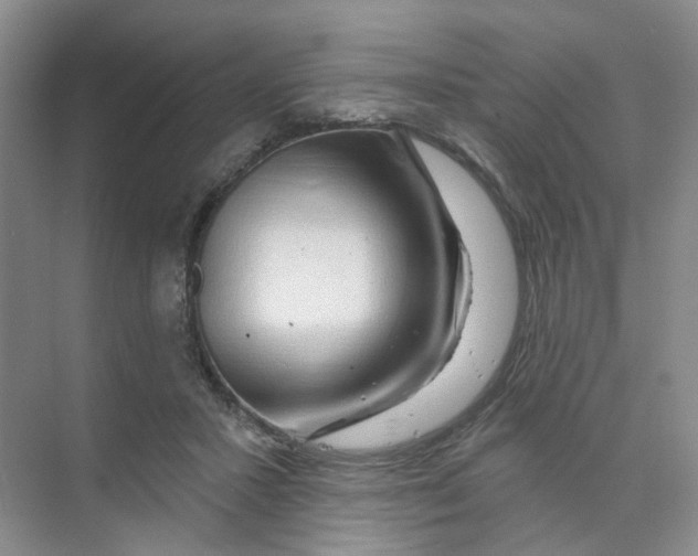 X0000074040407200609181958