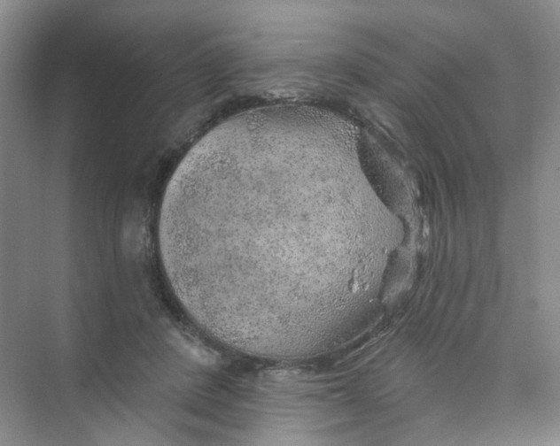 X0000074040408200609181958