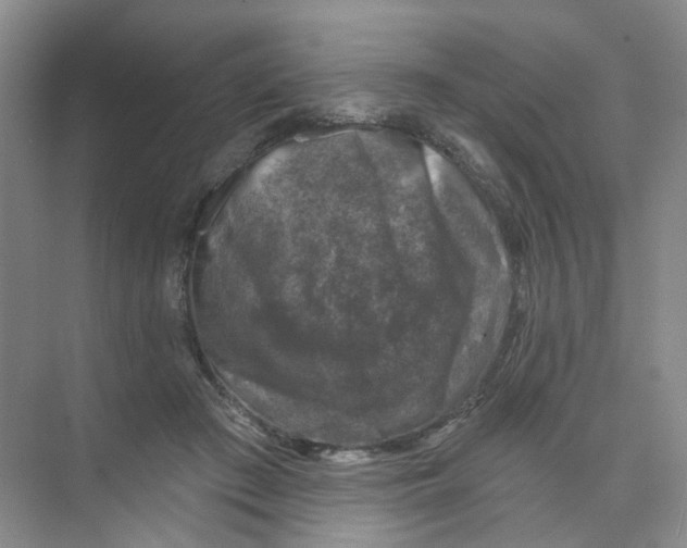 X0000074040409200609181957