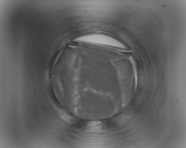 X0000074040410200609181957