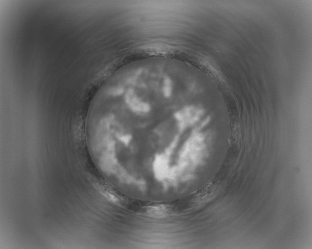 X0000074040411200609181957