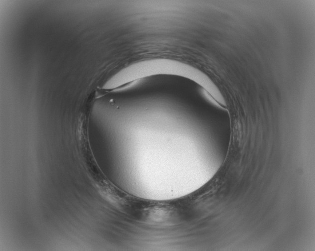 X0000074040412200609181957