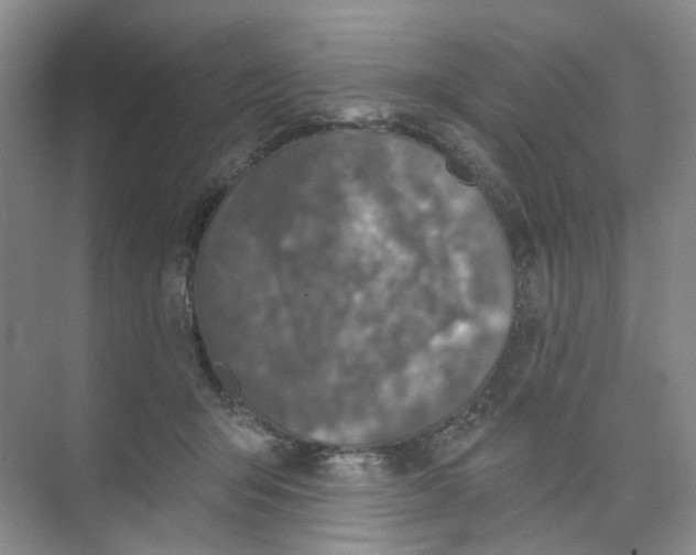 X0000074040415200609181957