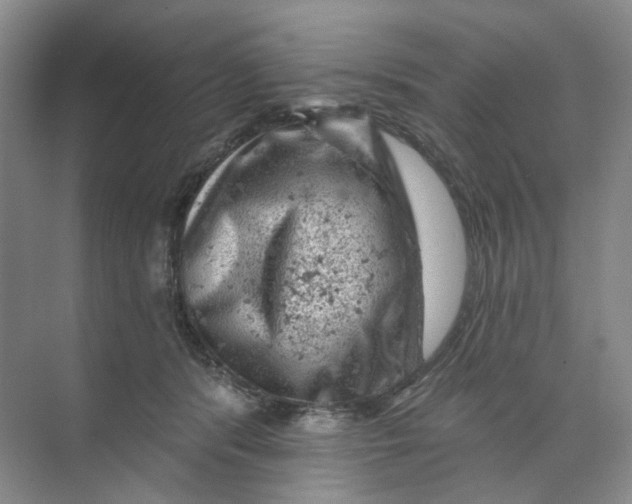 X0000074040416200609181957