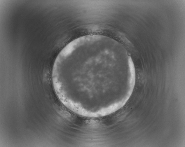 X0000074040419200609181957