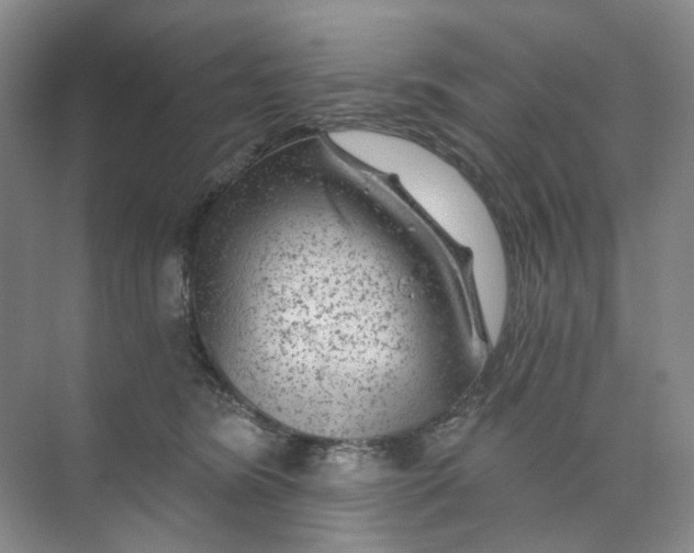 X0000074040420200609181957