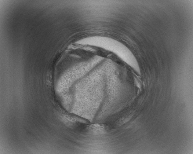 X0000074040421200609181957