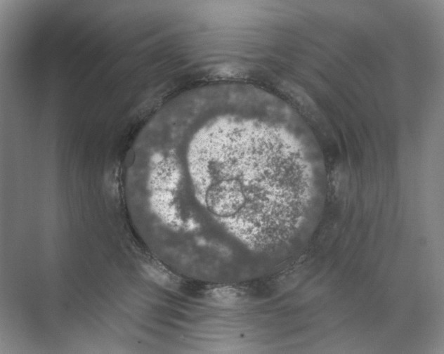 X0000074040423200609181957