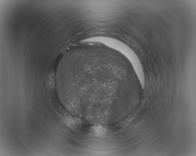 X0000074040425200609181957