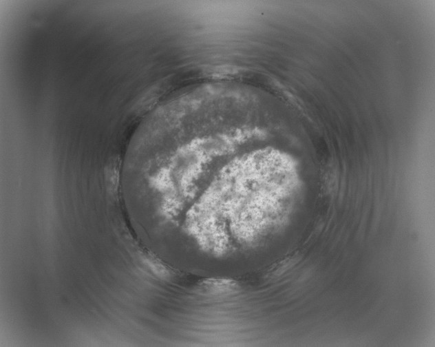 X0000074040427200609181957