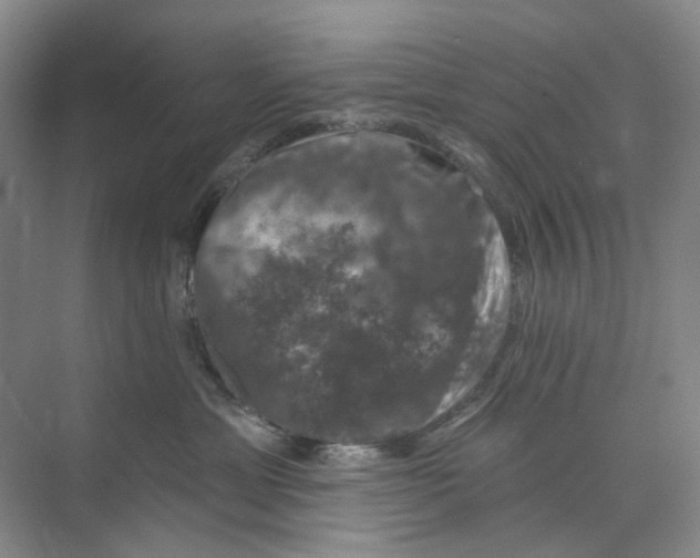 X0000074040429200609181957