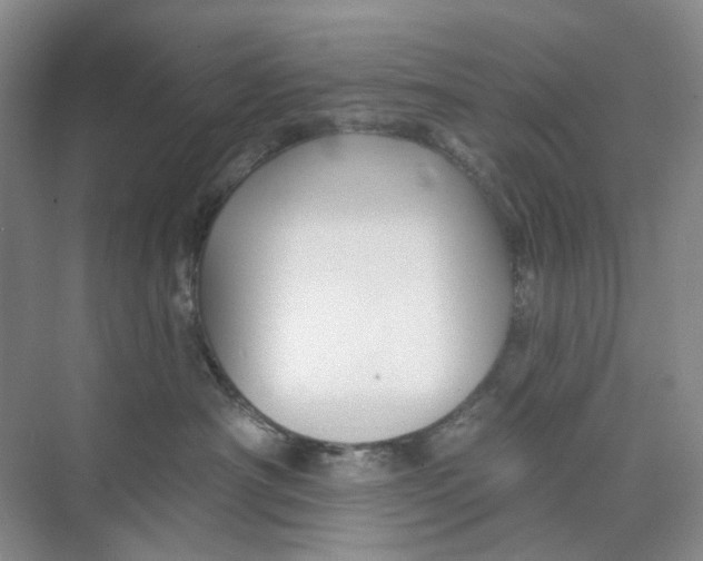 X0000074040430200609181957