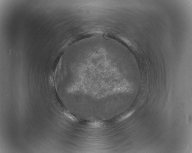 X0000074040432200609181957