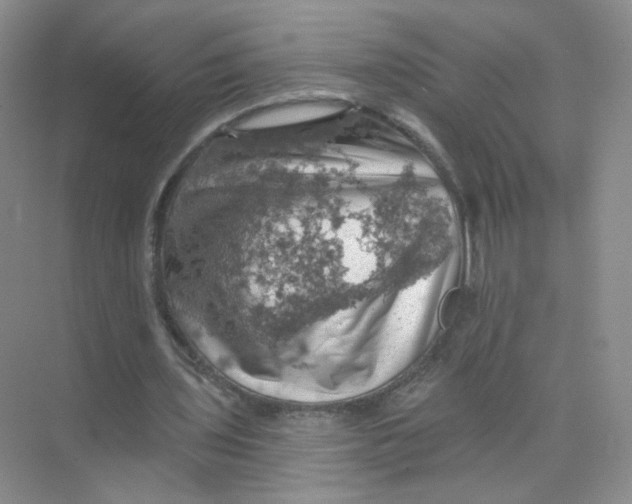 X0000074040435200609181956