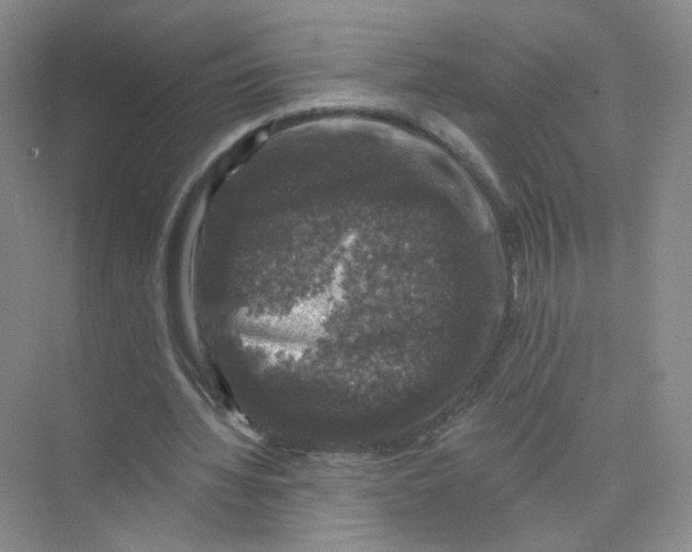 X0000074040436200609181956