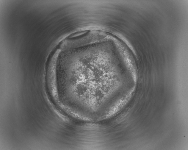 X0000074040437200609181956