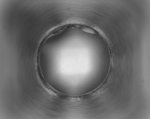 X0000074040438200609181956