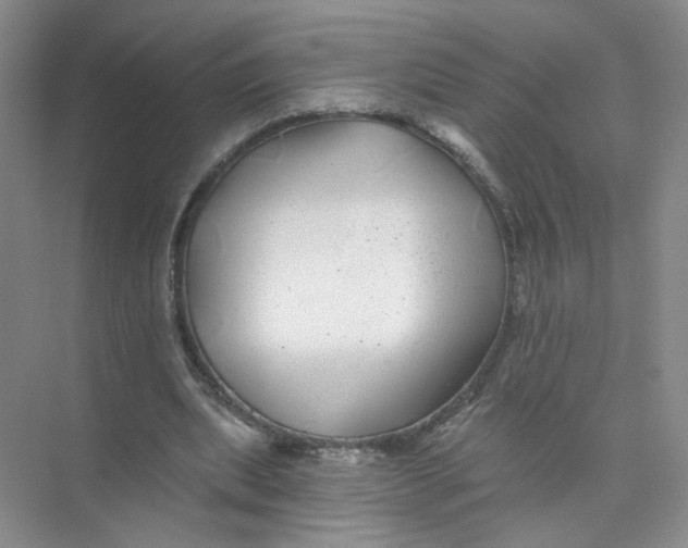 X0000074040439200609181956