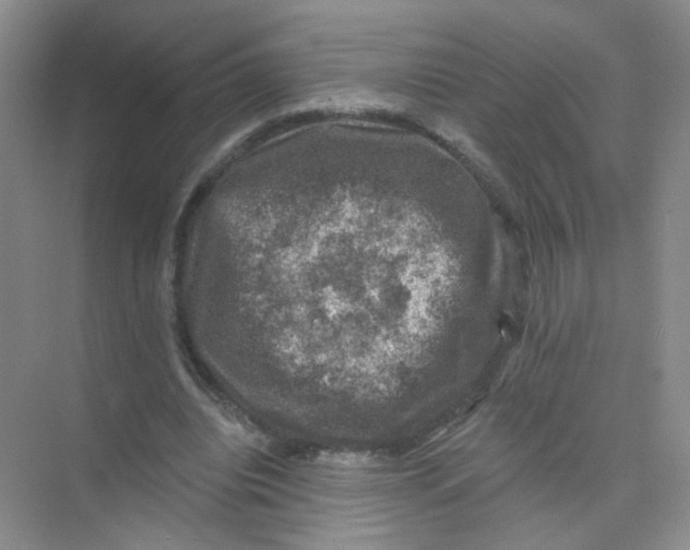 X0000074040440200609181956