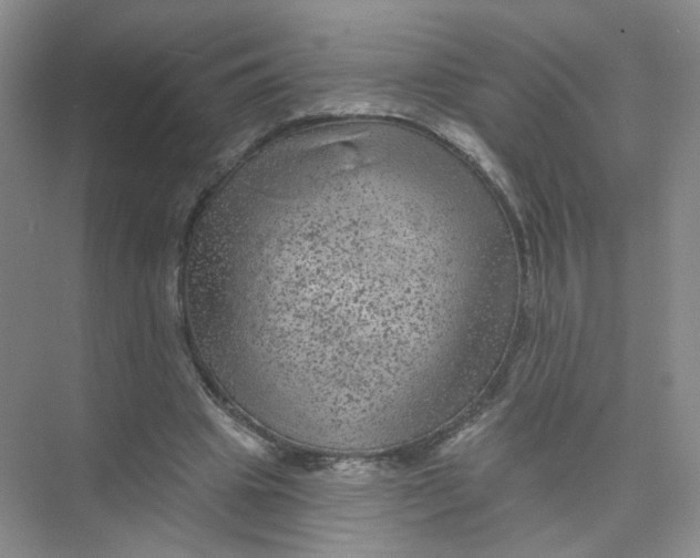 X0000074040441200609181956