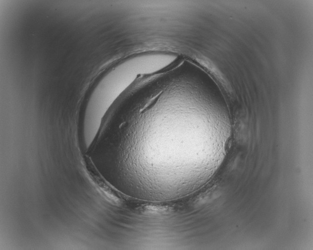 X0000074040442200609181956