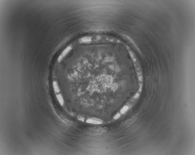 X0000074040443200609181956