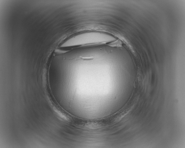 X0000074040445200609181957